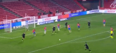 浙江方兴渡首次夺得CBA总冠军