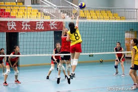 详解棒球规则中的打击干扰及补偿